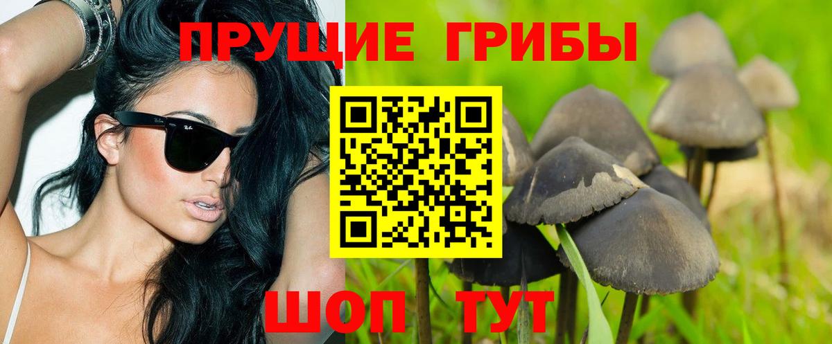 Галлюциногенные грибы Cubensis  Галлюциногенные грибы Psilocybe  Вход с VPN  Майский 
