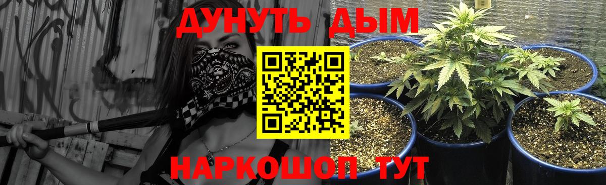 Майский  Конопля Ganja  Вход с VPN  МАРИХУАНА гибрид  Каннабис планчик 